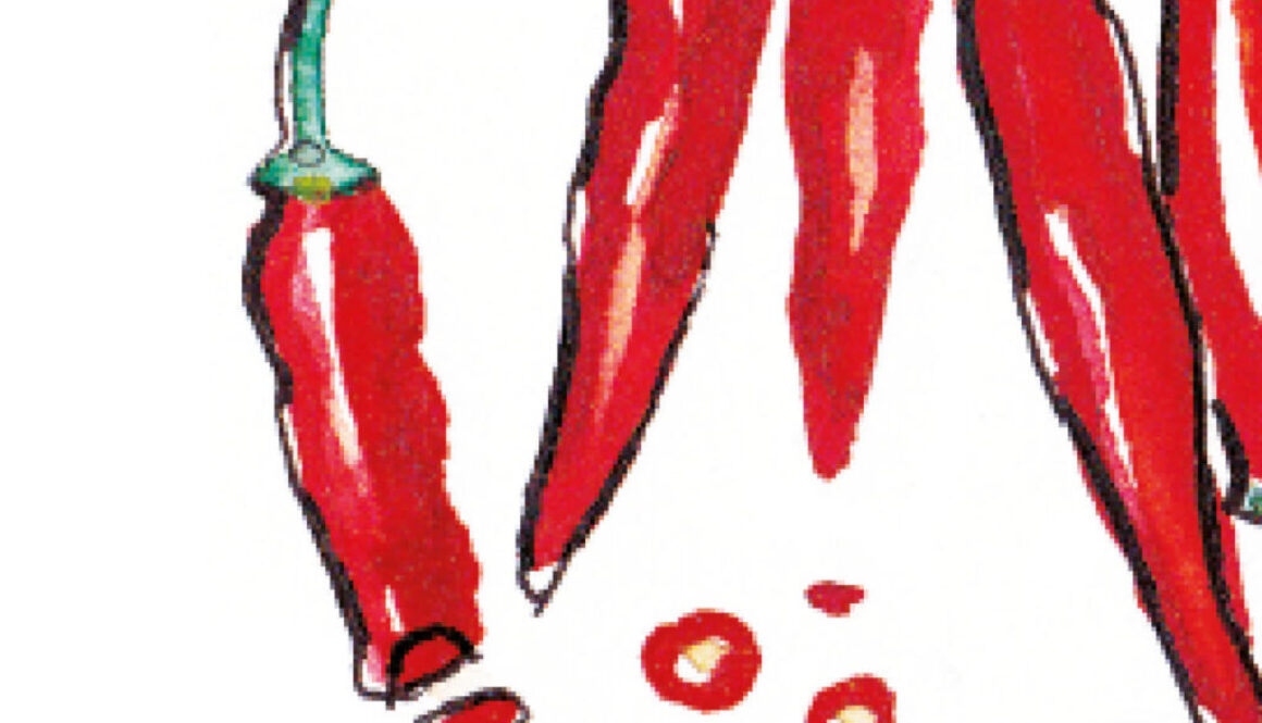 Chilis-Diessener-Goldfisch