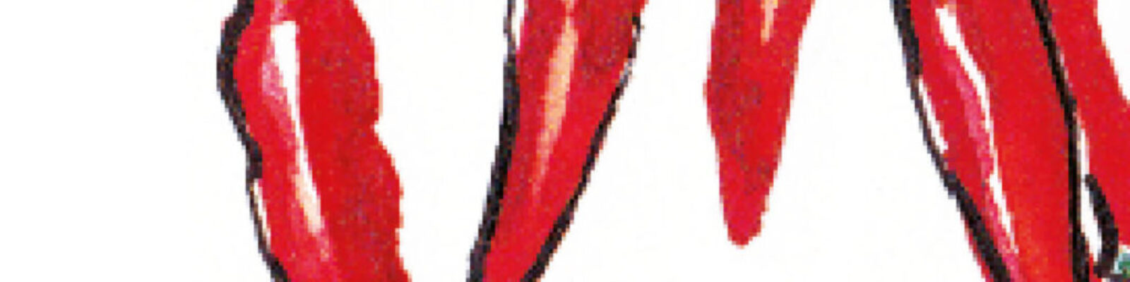 Chilis-Diessener-Goldfisch