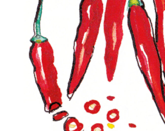 Chilis-Diessener-Goldfisch