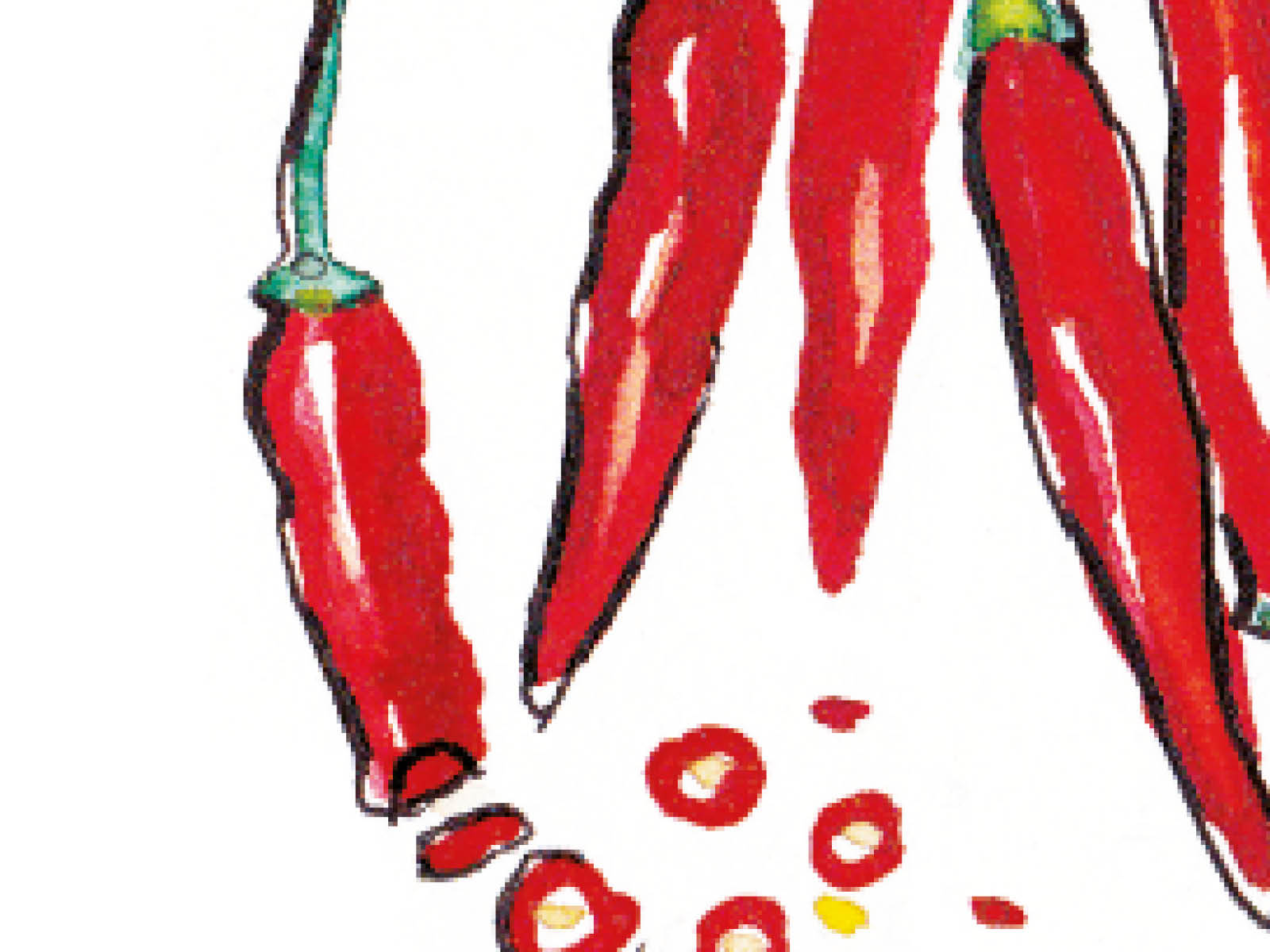 Chilis-Diessener-Goldfisch