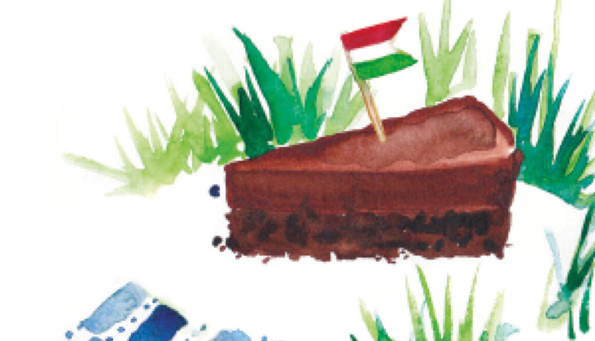 Schokokuchen-Diessener-Goldfisch