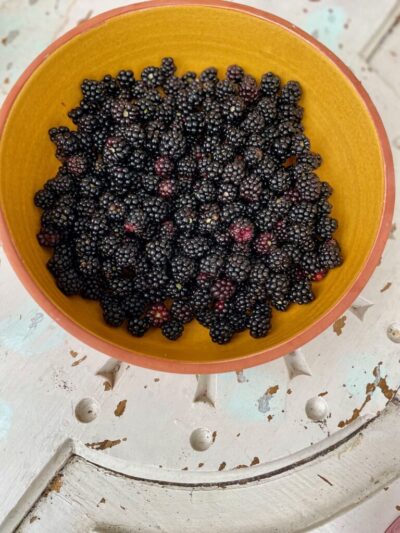 Brombeeren handgepflückt 