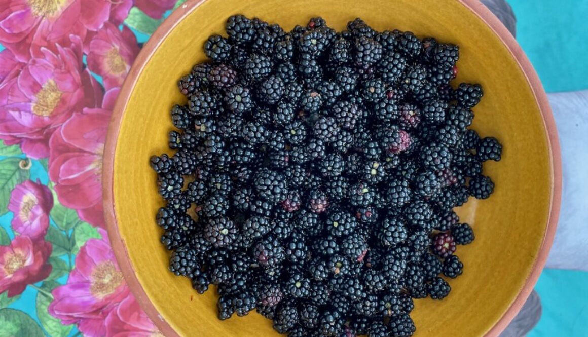 Brombeercrostata_Brombeeren