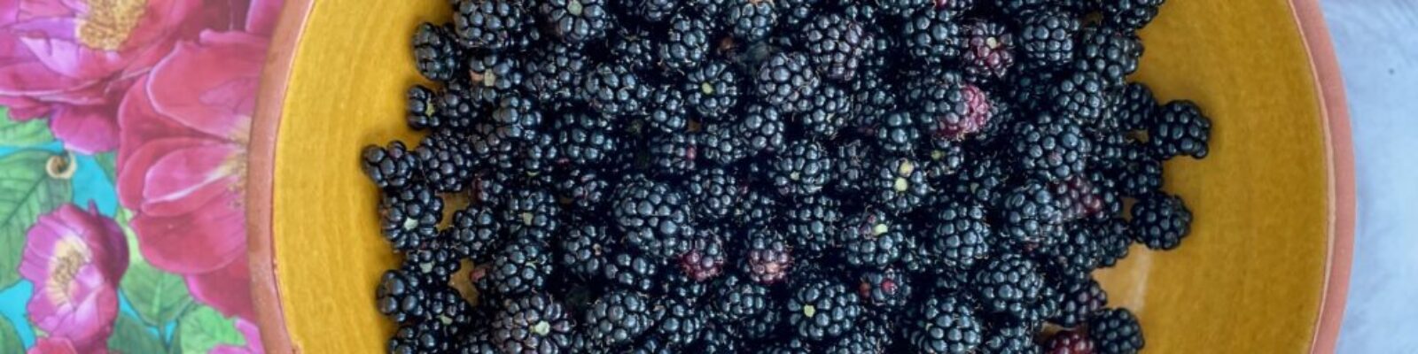 Brombeercrostata_Brombeeren