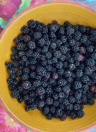 Brombeercrostata_Brombeeren