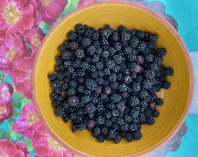 Brombeercrostata_Brombeeren