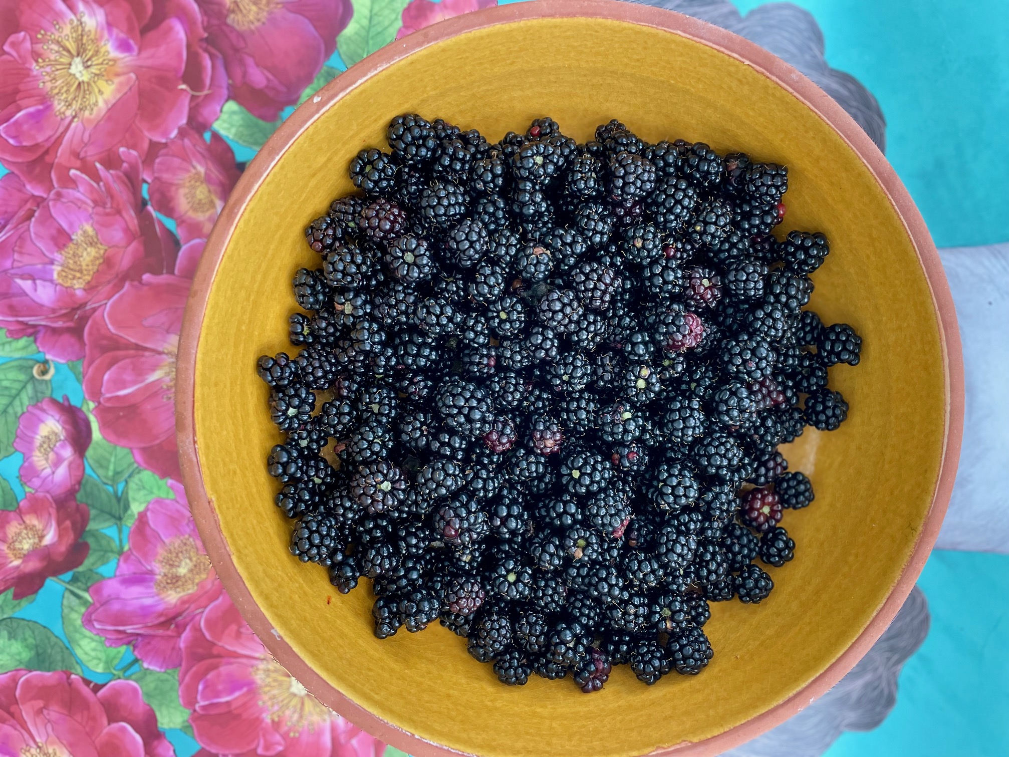 Brombeercrostata_Brombeeren